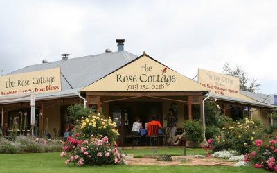 Dullstroom: The Charming Town Where Adventure Meets Tranquility