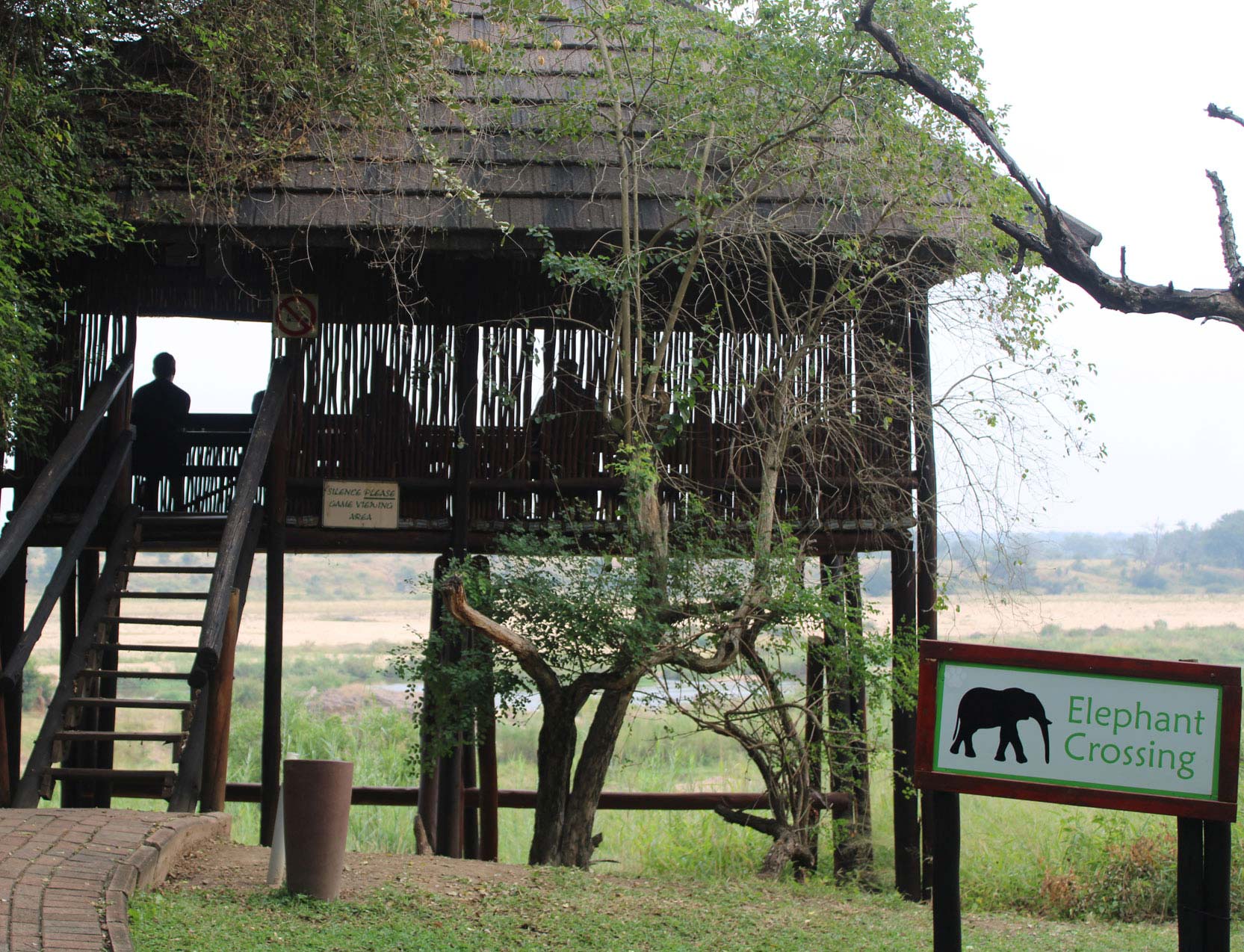 Ngwenya Lodge Game Hide - Elephant Crossing