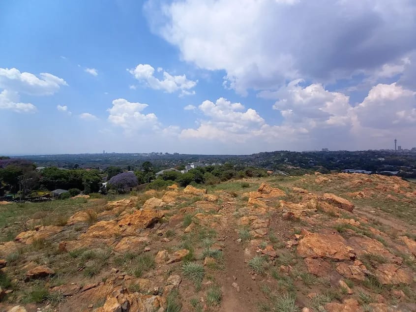 Melville Koppies Nature Reserve Hiking Trail Johannesburg