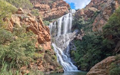 Hiking Trails in Johannesburg: Best Routes for Every Kind of Explorer