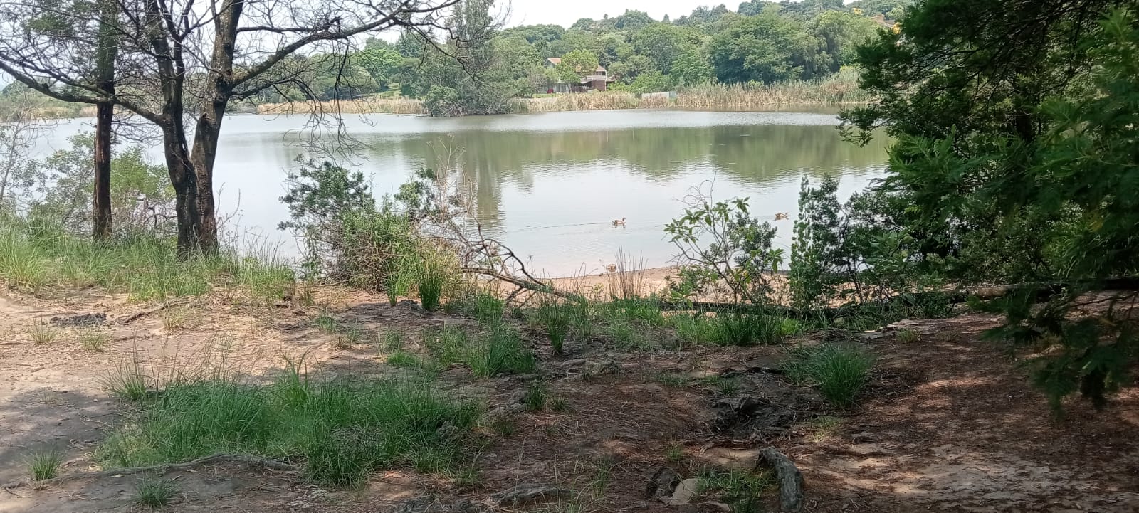 rustic dam view at the golden harvest park