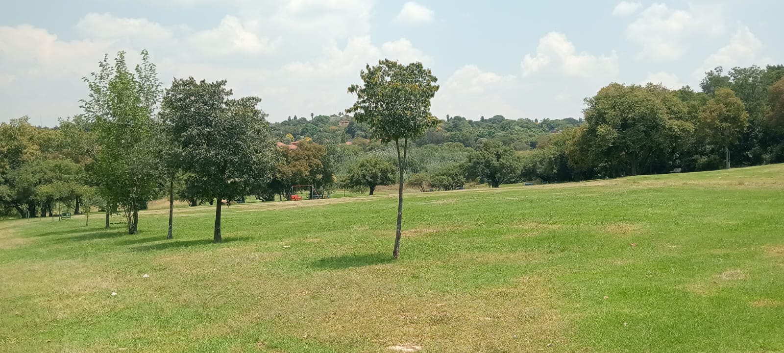 Grass Area at the Golden Harvest Park