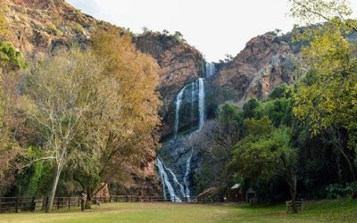 Walter Sisulu Botanical Gardens: Johannesburg’s Best Natural Escape